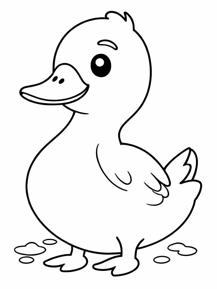 pato-para-colorir-6