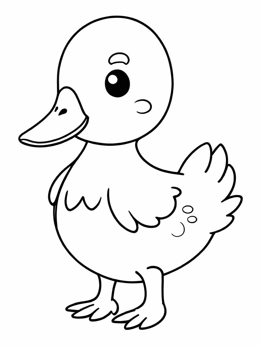 patinho desenho para colorir