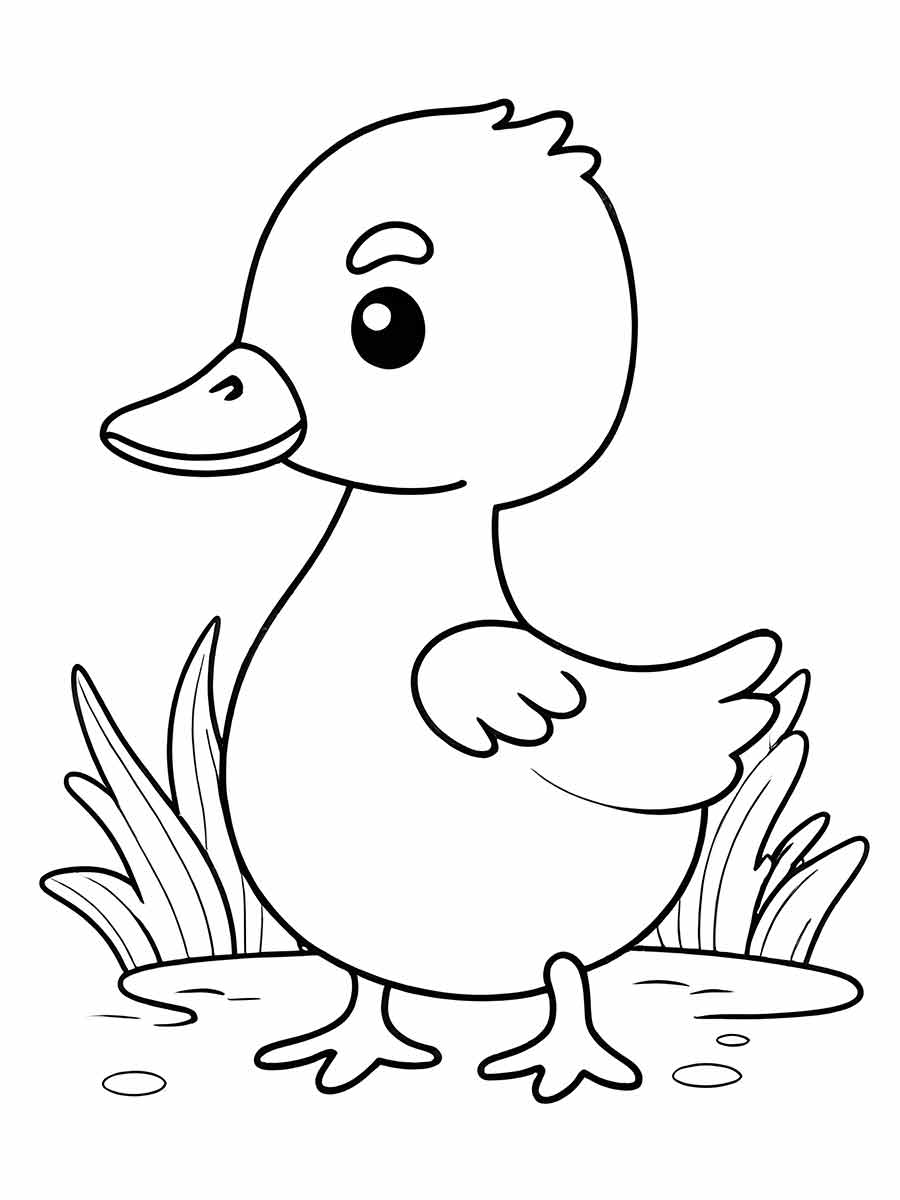 figura de pato para colorir