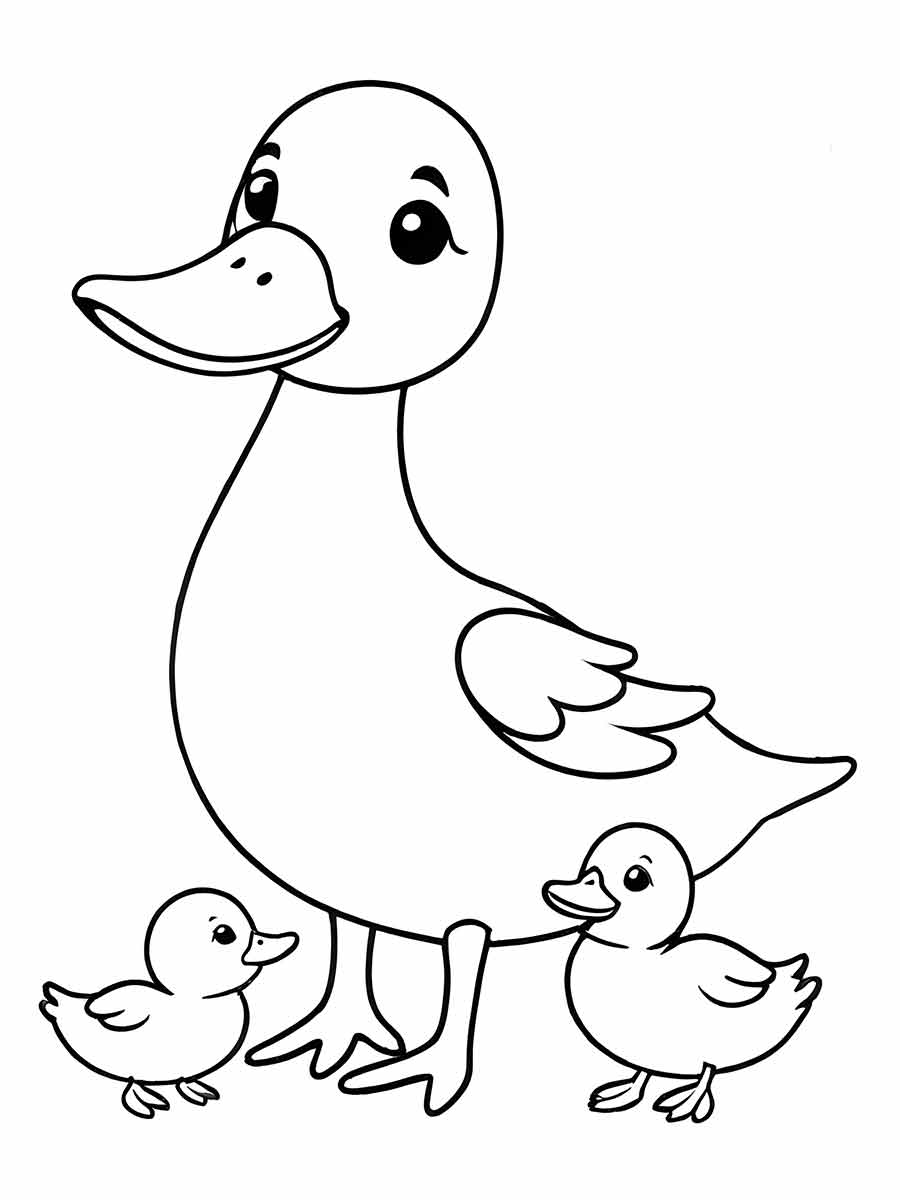 Desenhos para Pintar: Desenho de Pato para Colorir
