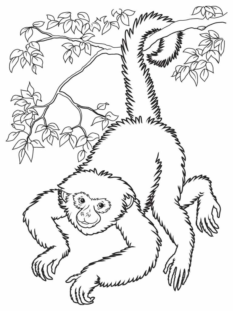 Desenho de macaco gibão para colorir, com braços estendidos, pendurado em um galho.