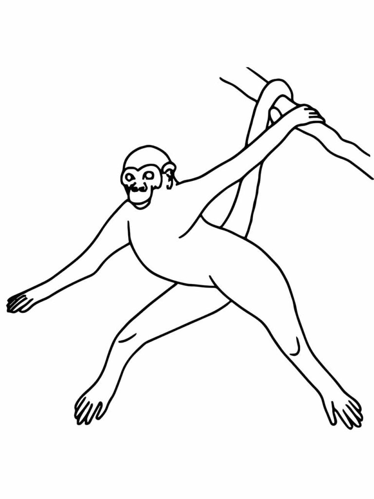 Desenho de um macaco gibão para colorir, capturado em uma pose ágil, com o braço alcançando um galho.