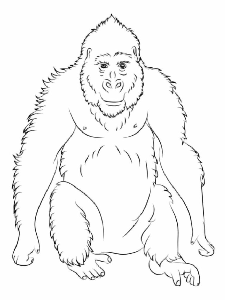 Desenho de um macaco gorila para colorir, sentado, com expressão tranquila e braços relaxados ao lado do corpo.