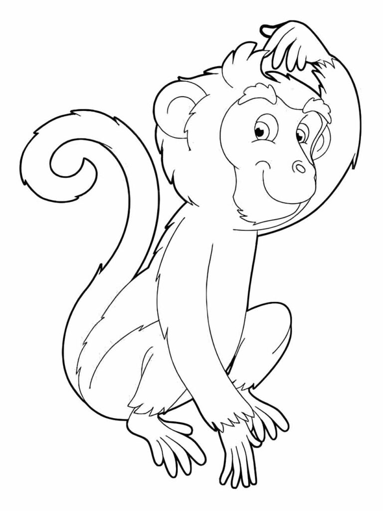 Desenho de um macaco de cauda longa para colorir, sentado e coçando a cabeça em gesto reflexivo.