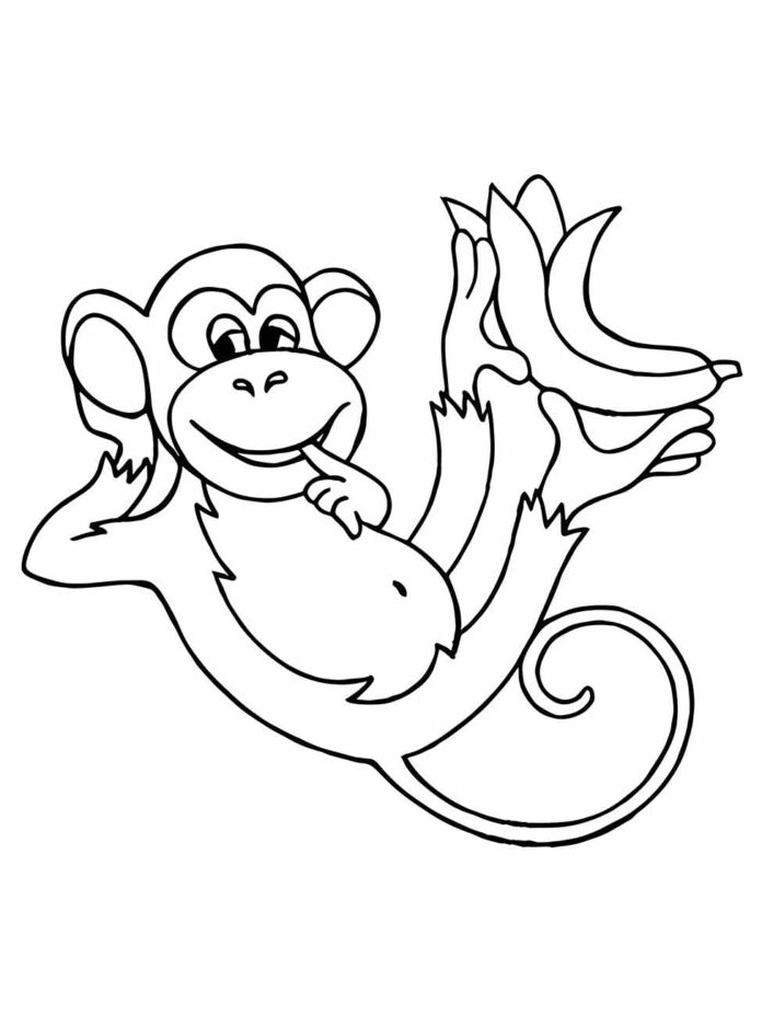 Desenhos De Macacos Para Colorir