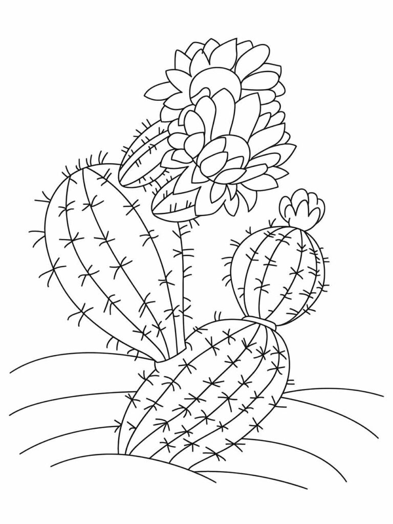 Desenho de cacto para colorir, com uma flor grande e detalhada, oferecendo uma cena criativa para coloração.