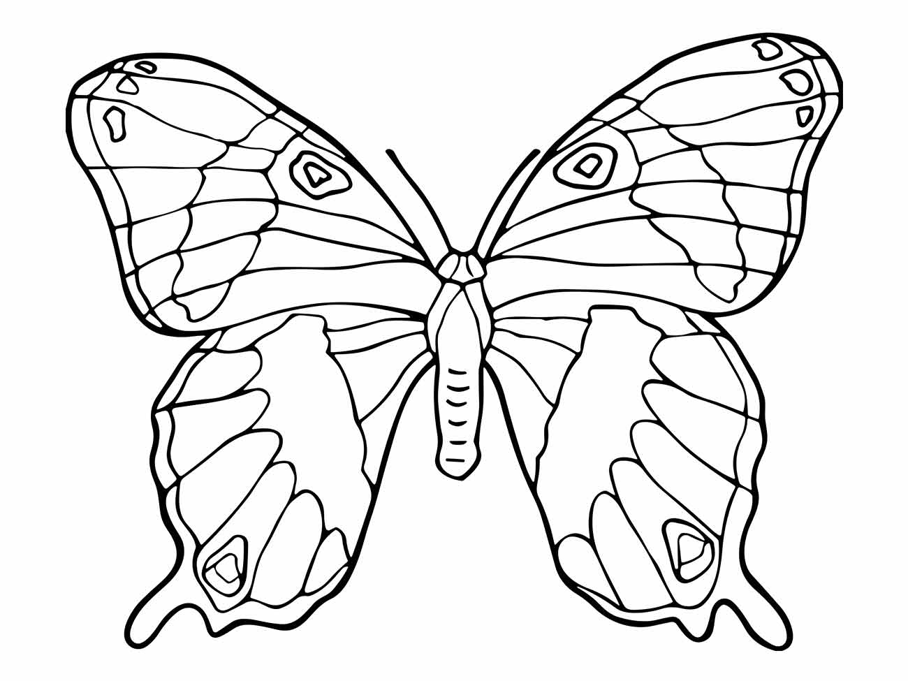 Desenho de borboleta para desenhar com padrões detalhados nas asas