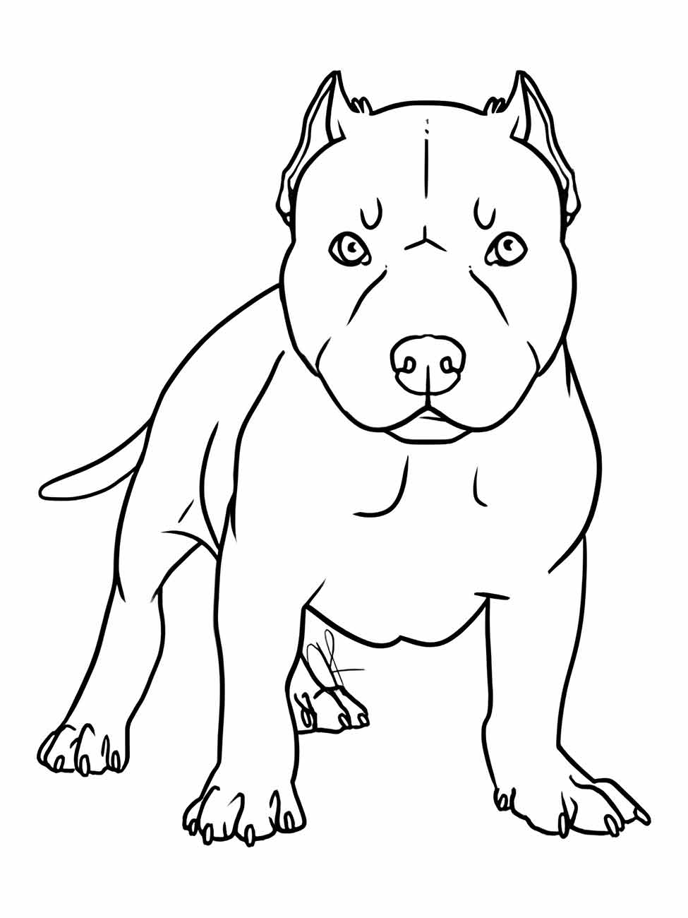 Desenhos para desenhar de um cachorro musculoso e robusto, com uma expressão séria.