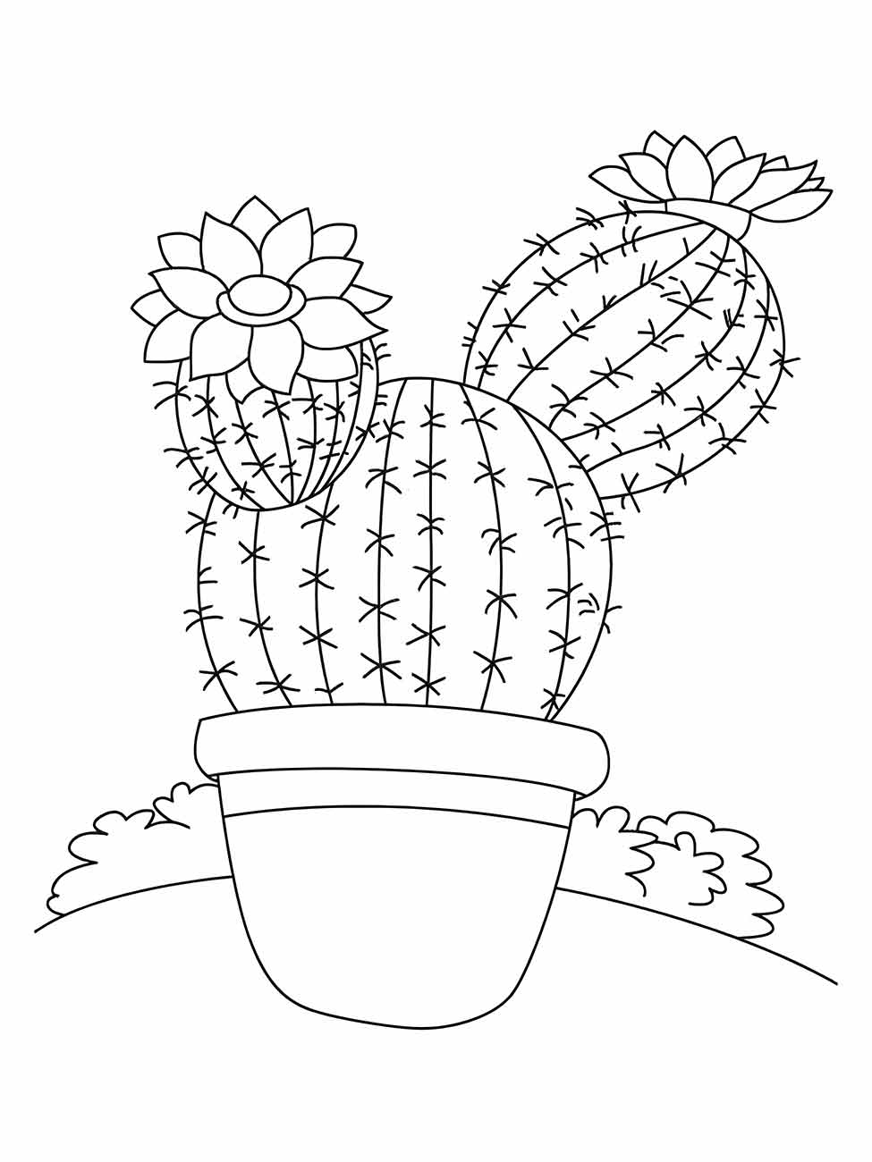 Desenho para colorir de cactos com flores, dispostos em um vaso sobre a grama.