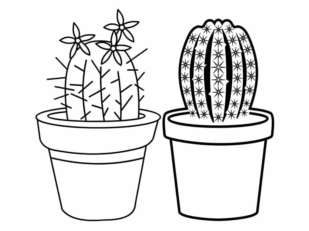 Desenho para colorir de dois cactos em vasos, um com flores no topo.