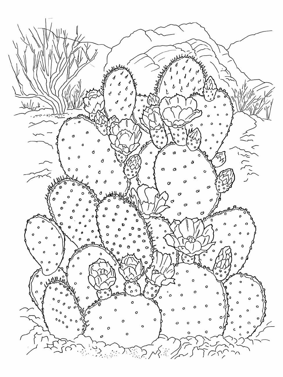 Desenho para colorir de cactos em flor no deserto, detalhado com vegetação ao fundo.