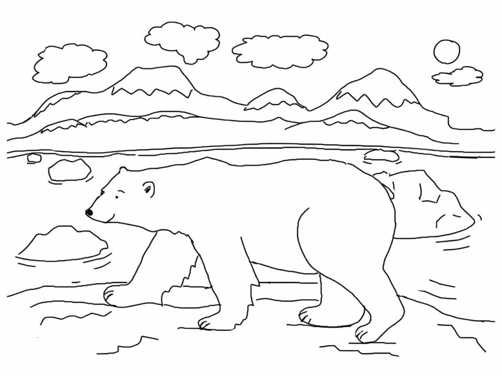 Urso desenho para colorir