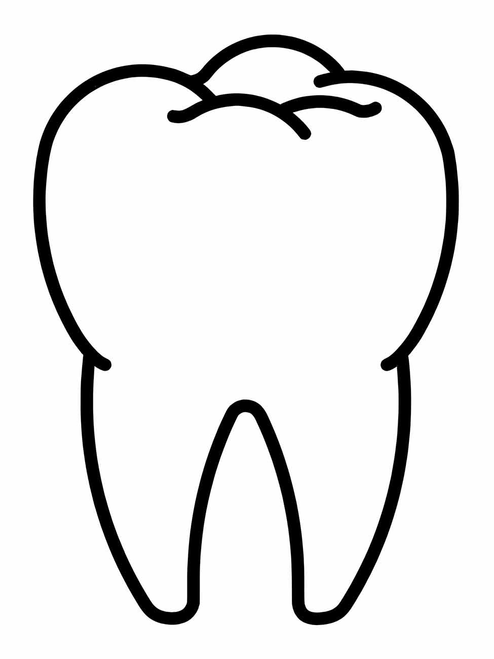 Desenhos para desenhar de um dente molar simples com contornos destacados.