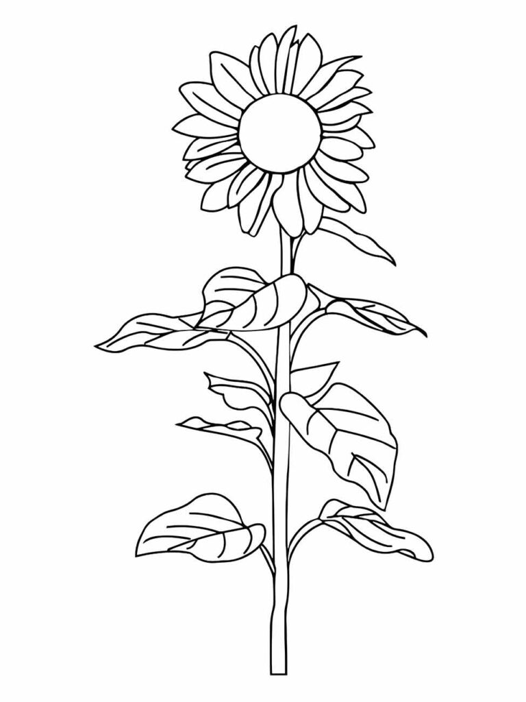 Desenho para colorir de girassol em um arranjo vertical, com folhas naturalistas, perfeito para imprimir e colorir.