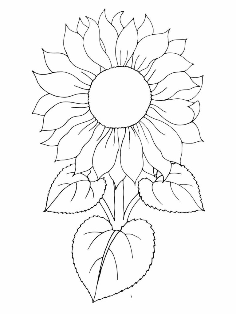 Imagem de girassol para colorir apresentando um botão floral detalhado e folhas exuberantes, adequado para todas as idades.