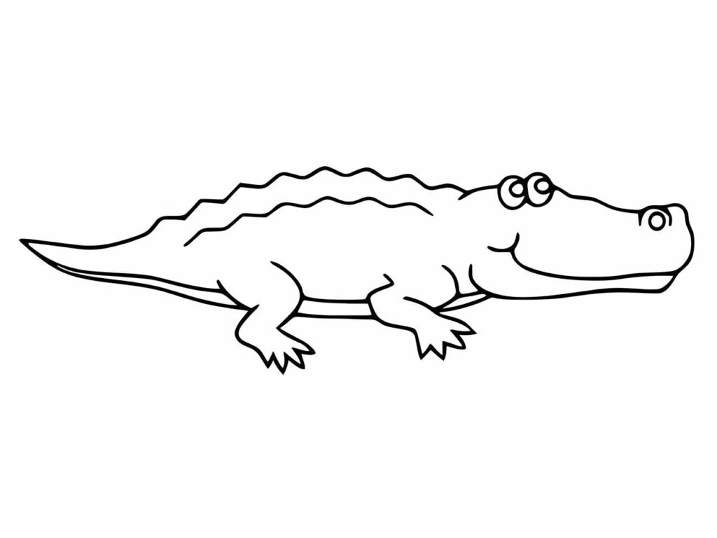 Desenho para colorir de um crocodilo longo e rechonchudo, simplificado para facilitar a coloração por crianças.