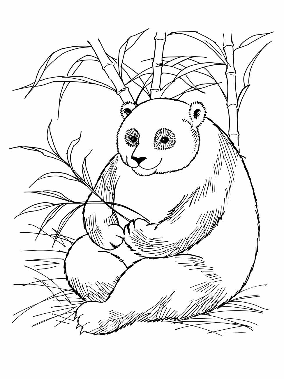 Desenho para colorir de um panda sentado calmamente entre bambus.