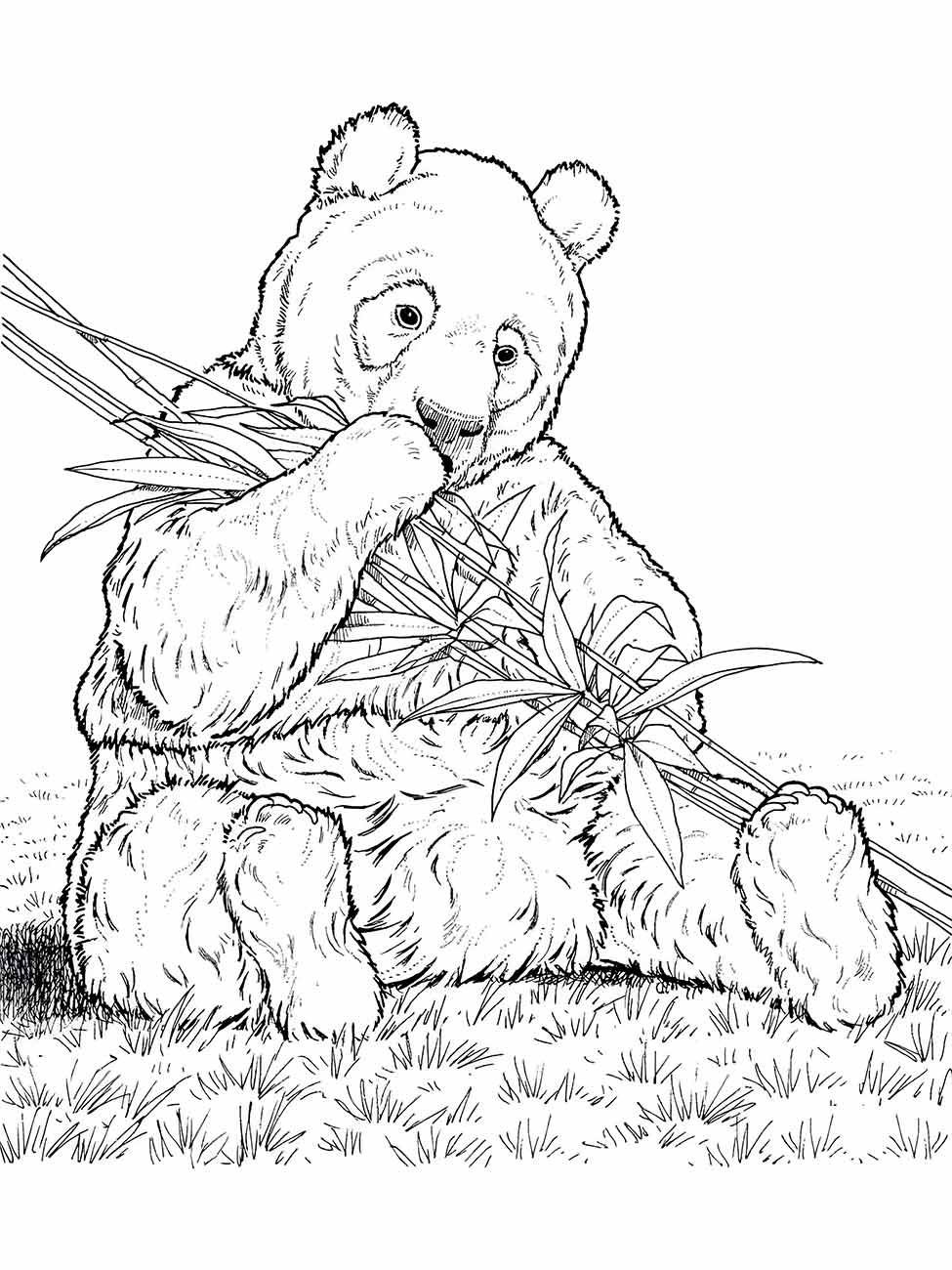 Desenho de um panda para colorir, comendo bambu em um campo.