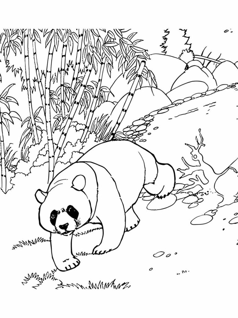 Desenho de panda para colorir e imprimir, andando cautelosamente em meio à natureza.