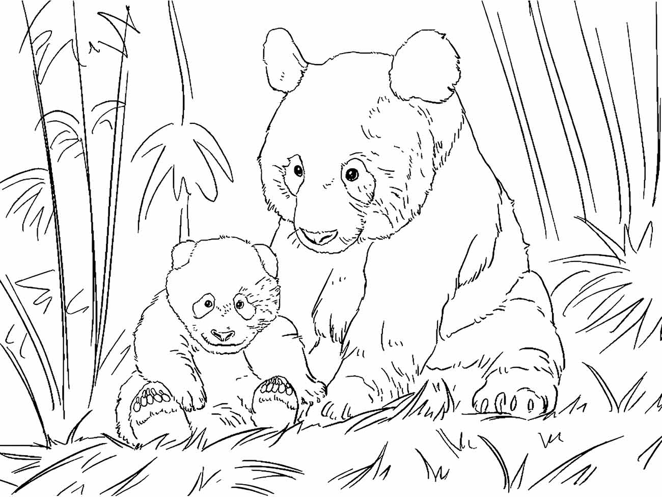 Desenho para colorir de uma mãe panda com seu filhote em um ambiente natural com bambu.