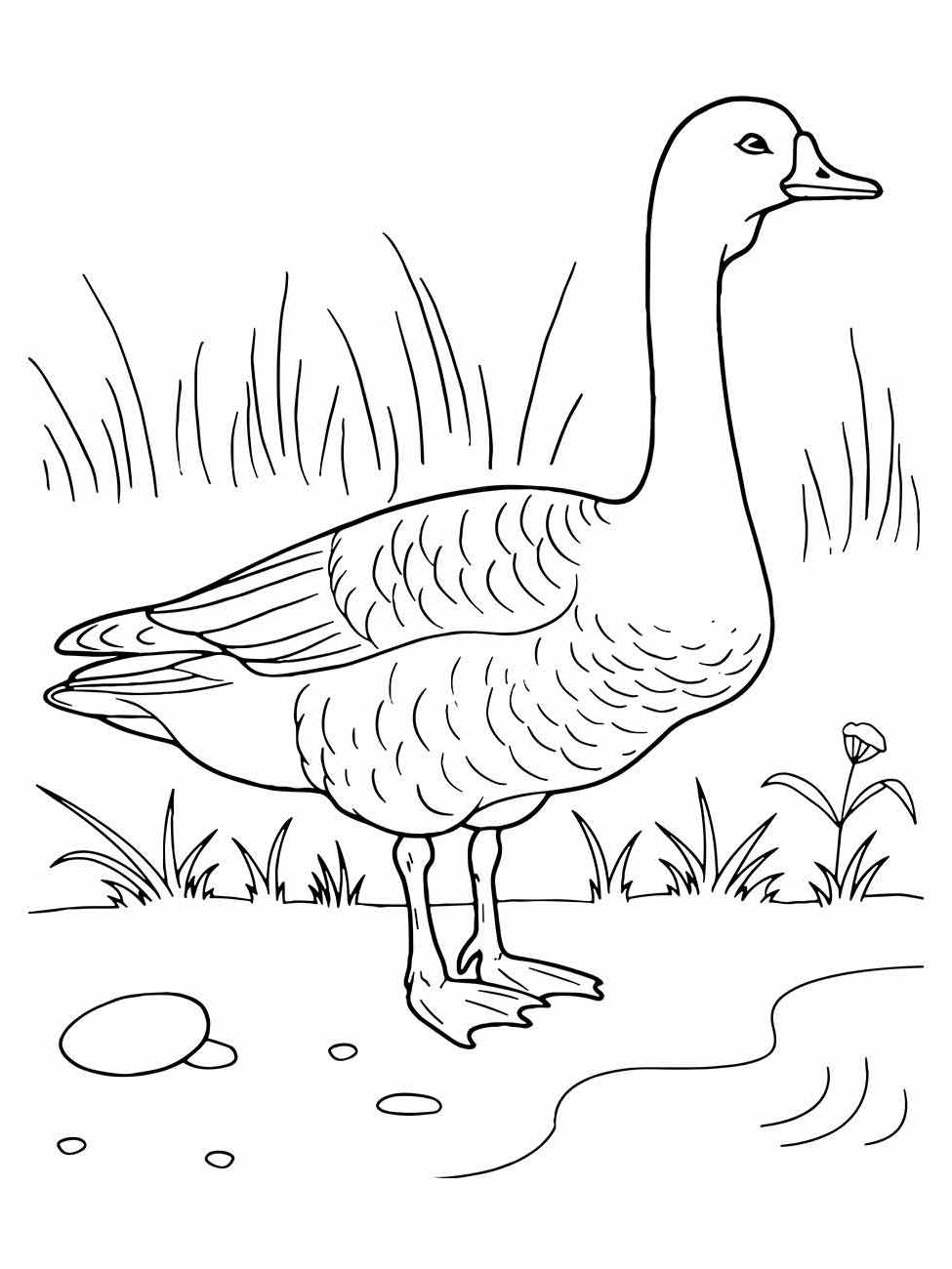 Desenho de pato para desenhar, ave em pé na beira da água entre a vegetação.