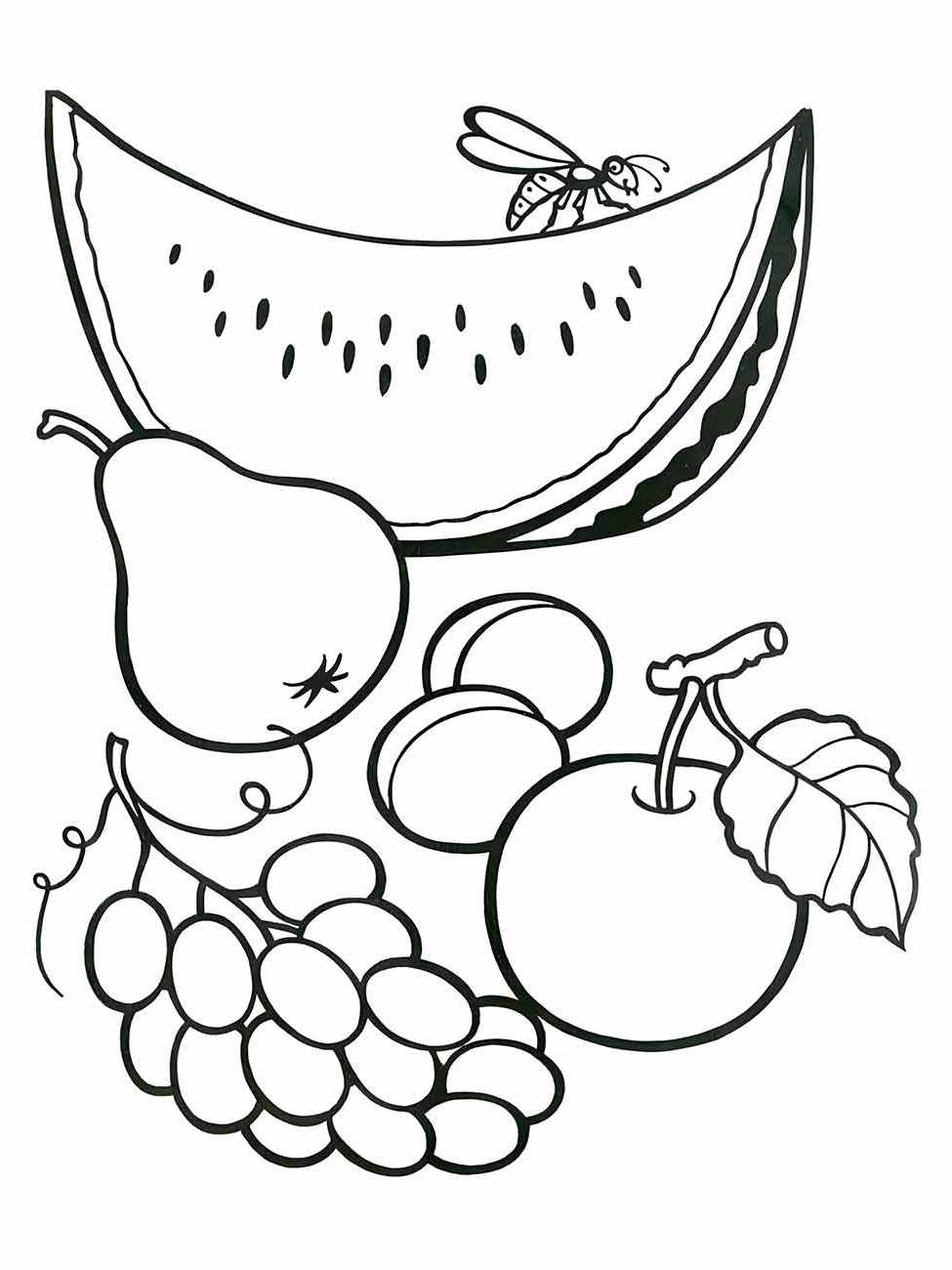 Desenhos simples para desenhar de uma seleção de frutas incluindo melancia, pera, maçã e uvas com uma libélula.