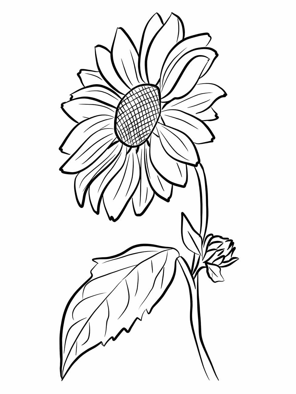 Desenho para colorir girassol com centro em padrão de rede e pétalas largas, acompanhado de uma folha e botão floral, ótimo para atividades educativas sobre crescimento de plantas.