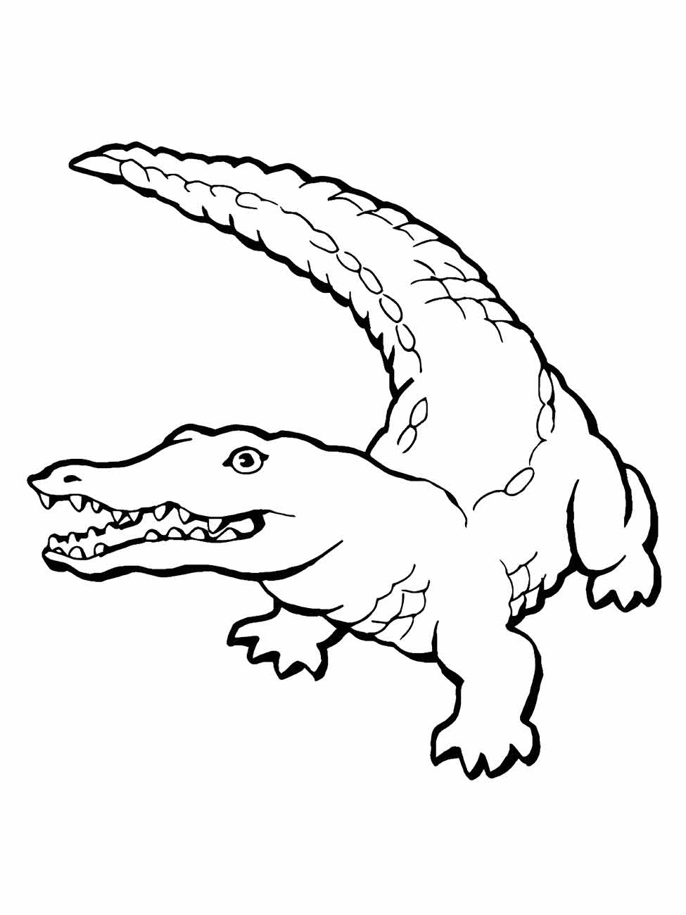 Desenho de crocodilo para colorir