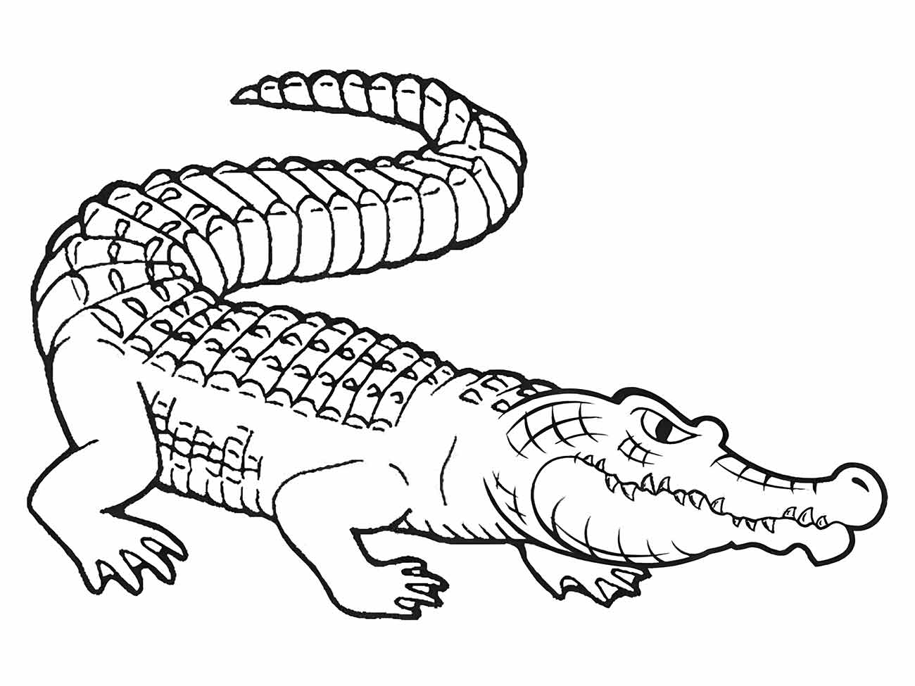 Imagem de um crocodilo para colorir, apresentando-se em uma pose nadadora com detalhes realistas das escamas.