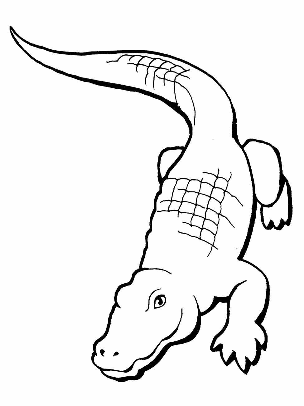 Imagem de um crocodilo para colorir, retratado em uma postura relaxada e deitado, perfeito para uma atividade de colorir.