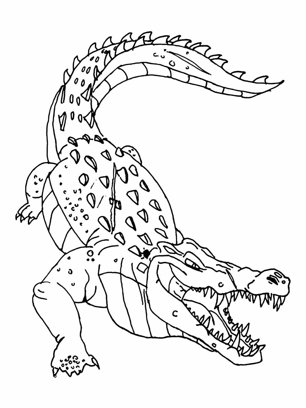 Desenho para colorir de um crocodilo robusto, com textura de pele detalhada e uma postura imponente, desafiador para habilidades avançadas de colorir.