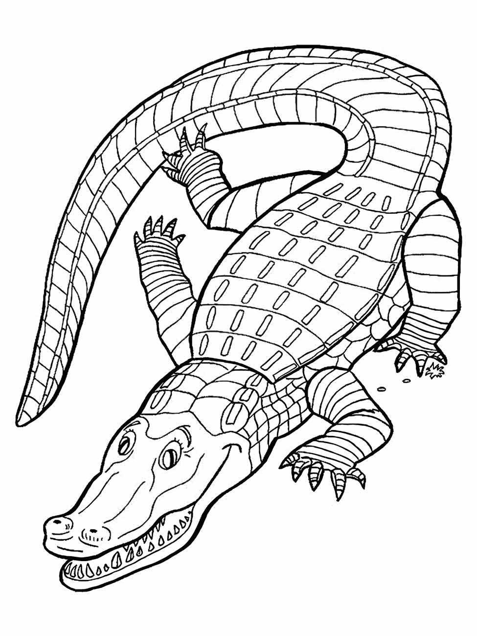 Imagem de crocodilo para colorir, ideal para uma atividade de colorir descontraída.