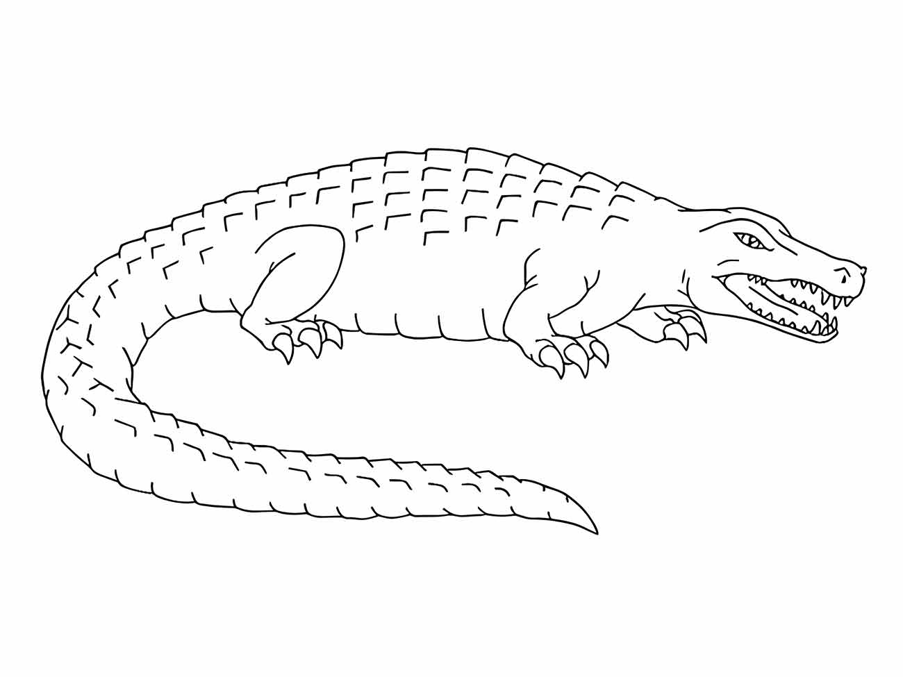 Desenho para colorir de um crocodilo robusto e feroz, com a boca aberta exibindo dentes afiados.