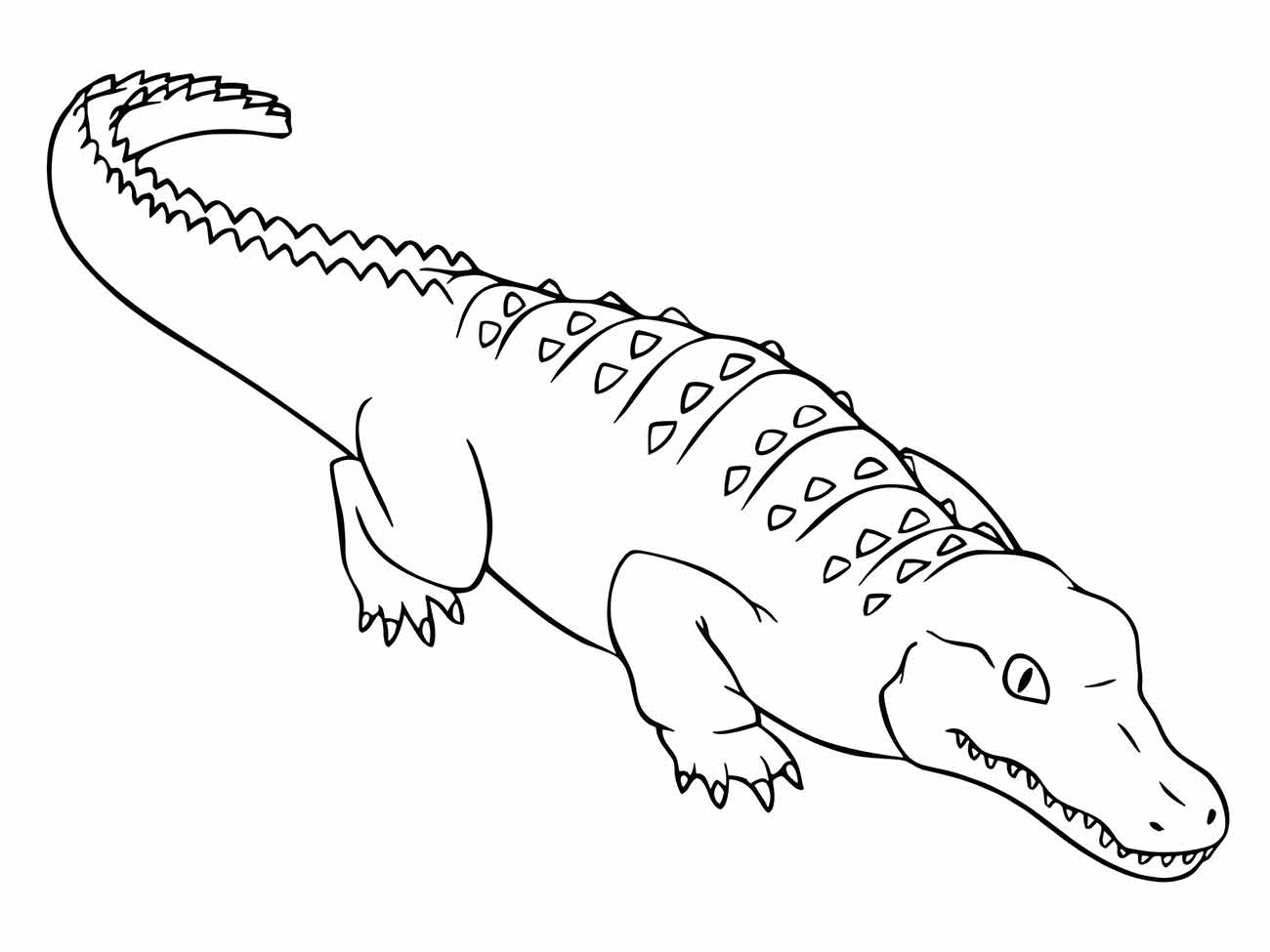 Desenho de um crocodilo para colorir, exibindo uma postura lateral com detalhes das escamas, proporcionando um aspecto tridimensional.