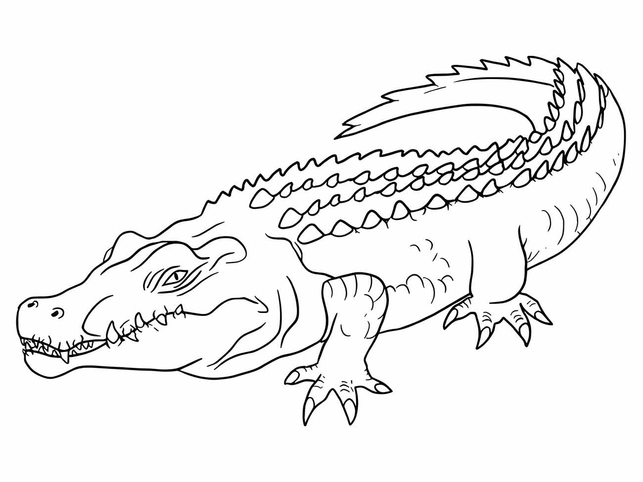 Imagem de um crocodilo para colorir, detalhado em repouso, ideal para aprimorar a habilidade de colorir.