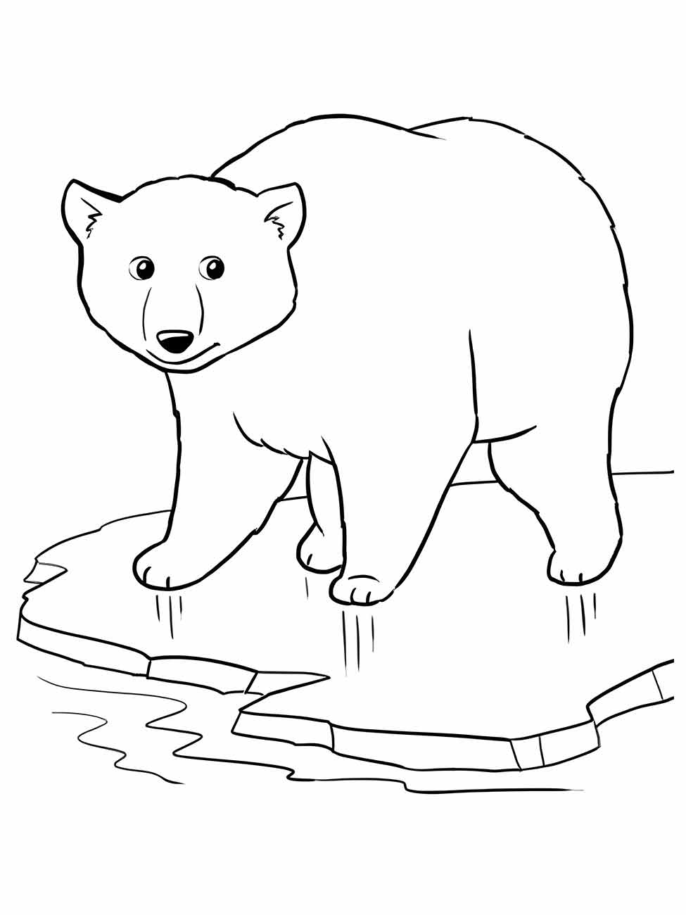 desenho urso para colorir