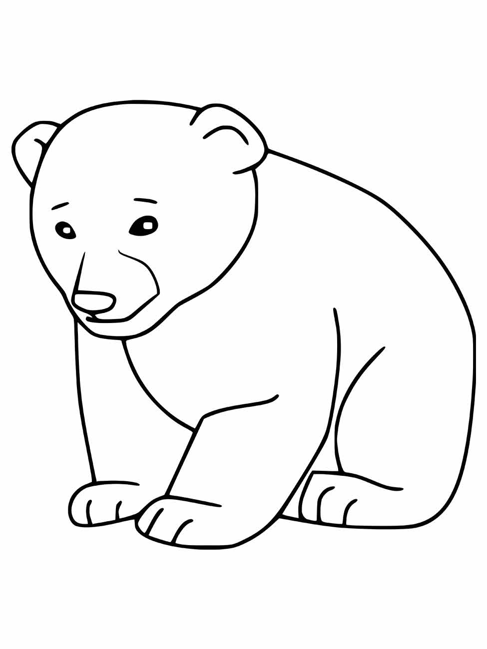 Urso desenho para colorir