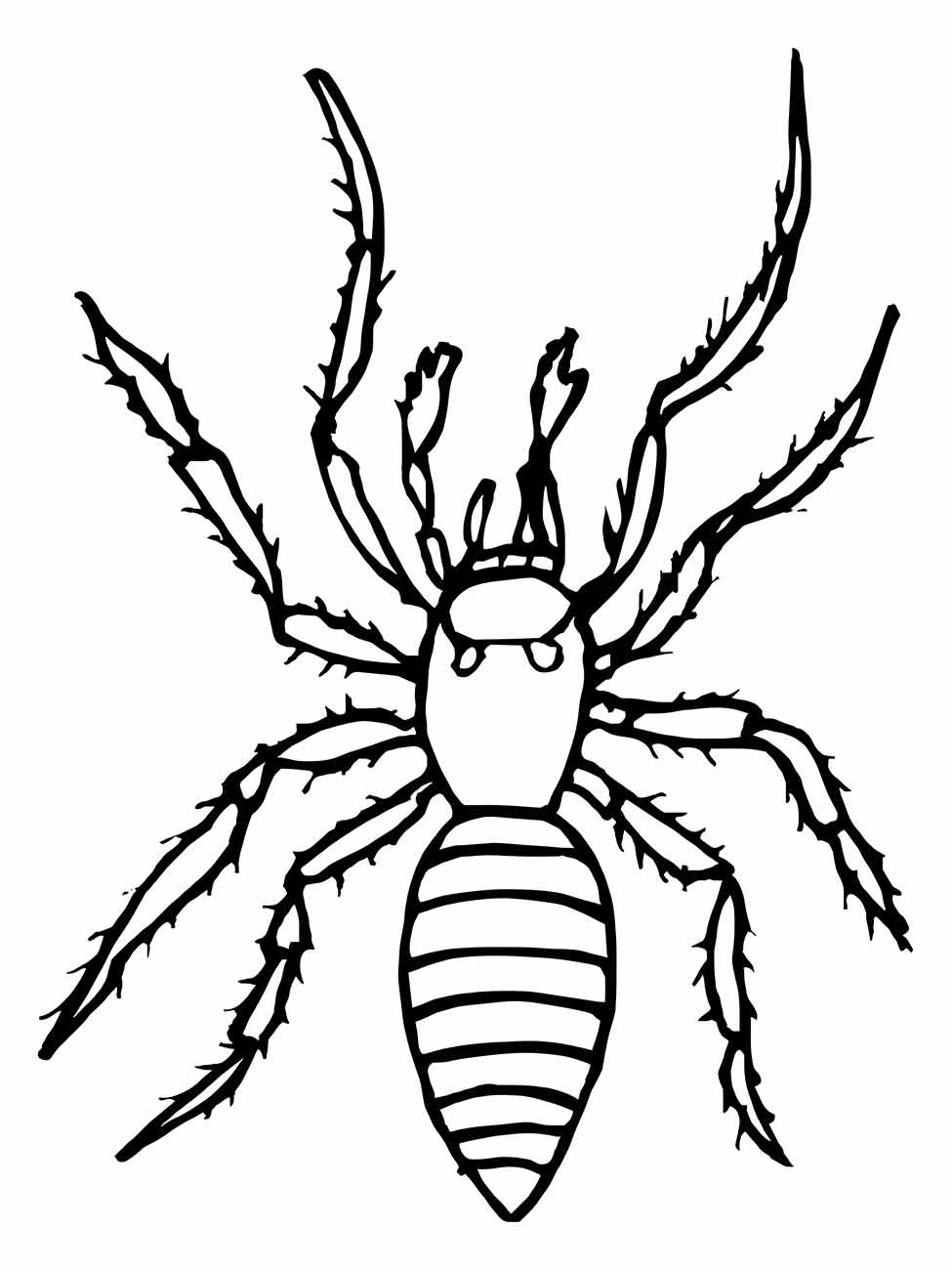 Desenho da aranha para colorir, estilizada com listras no abdômen e patas espessas.