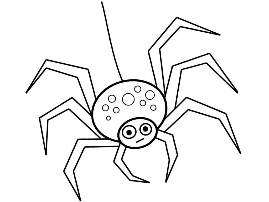 Desenho da aranha para colorir com corpo ornado por círculos e olhos atentos.