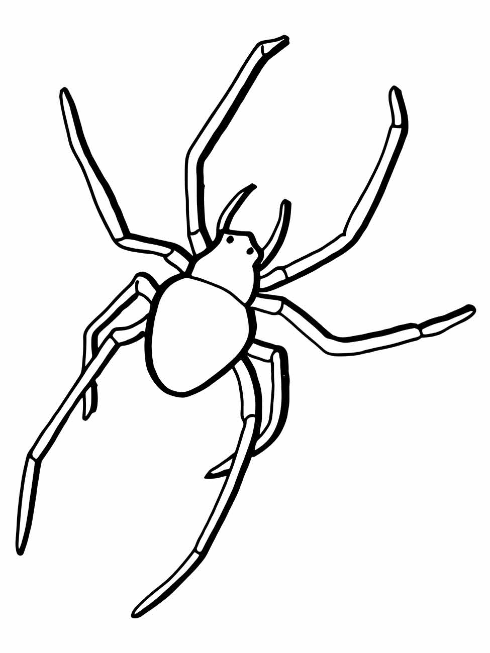 Desenho para colorir de aranha com corpo simples e patas longas e finas.