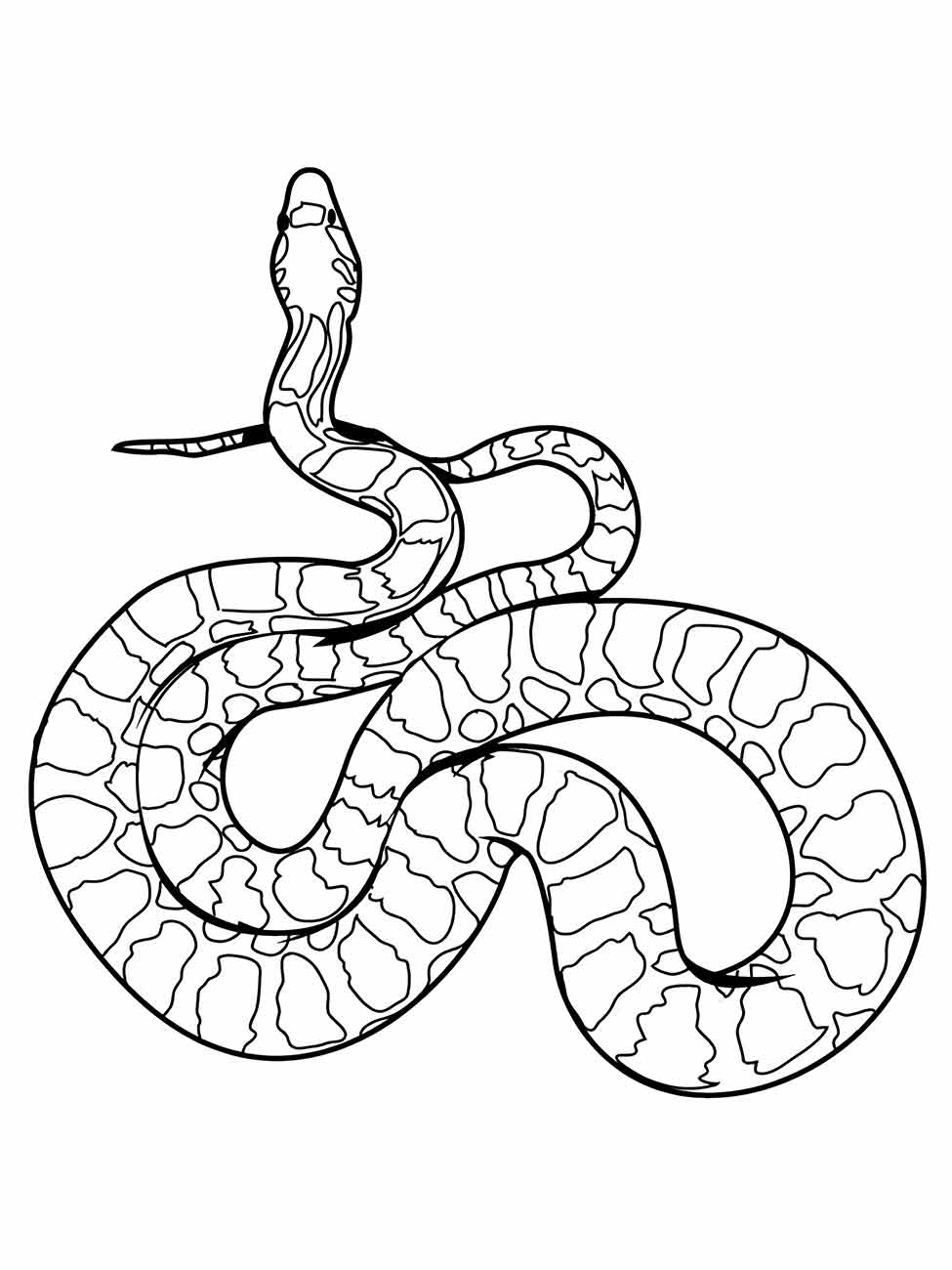 Desenho para colorir de cobra com padrão de pele detalhado.