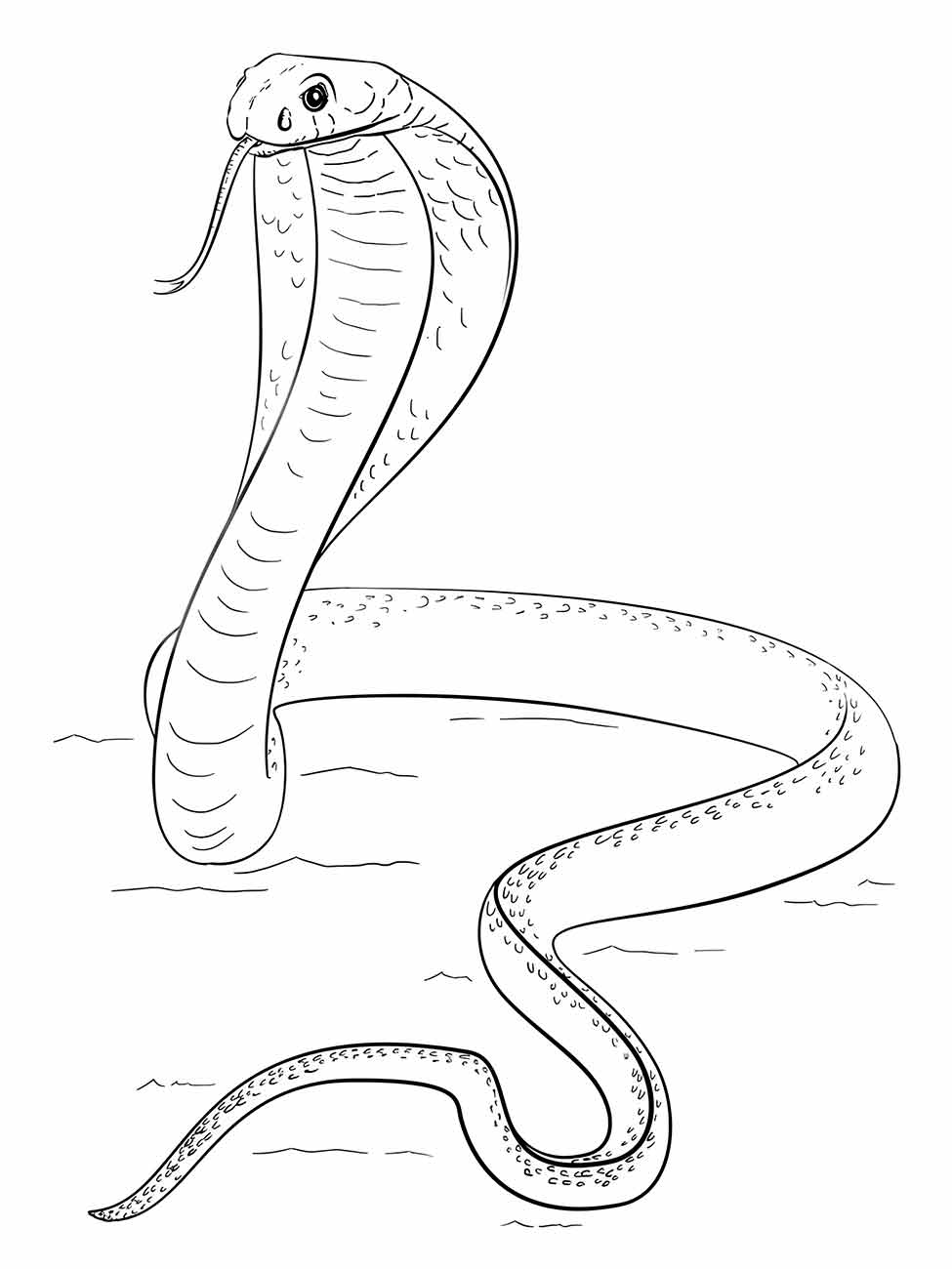 Desenho de cobra para colorir em posição erguida com textura suave.