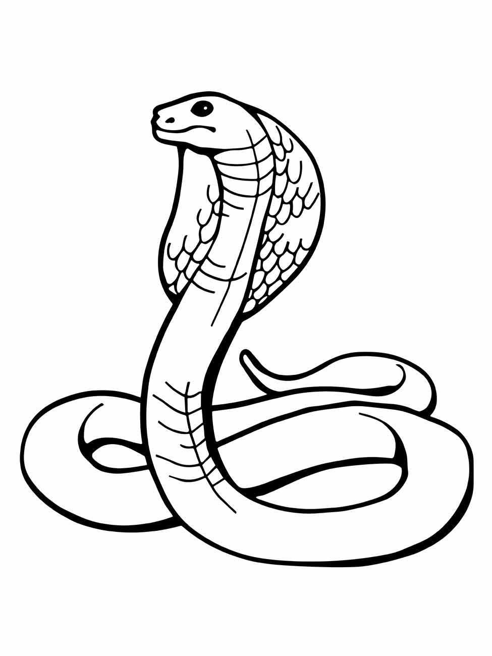 Desenho de cobra naja para colorir