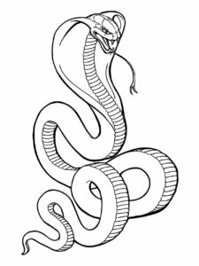 Desenho para colorir de cobra erguida com escamas detalhadas e design elegante.