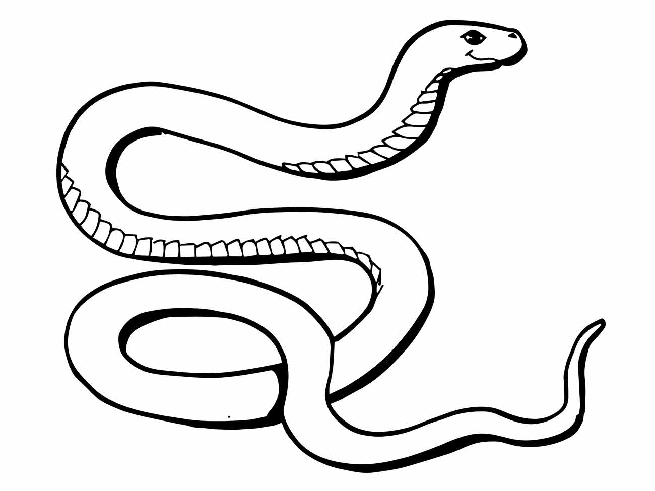 imagem de cobra para colorir