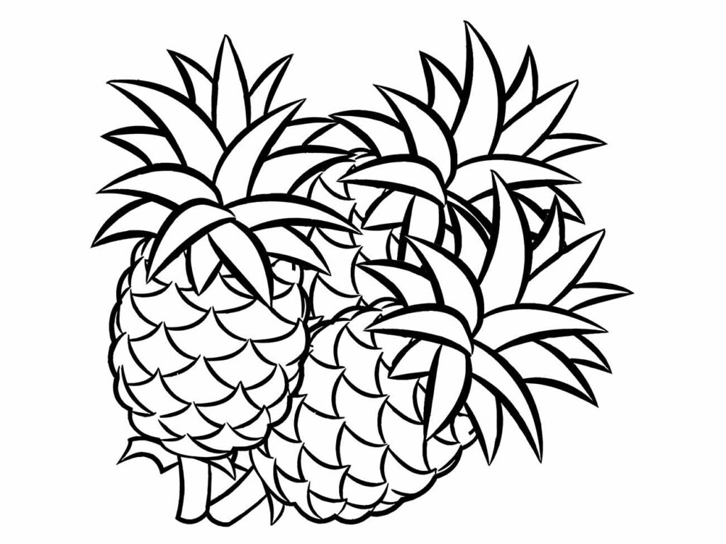 Desenho de abacaxis para colorir apresentando três frutas juntas, ótimo para atividades em grupo.