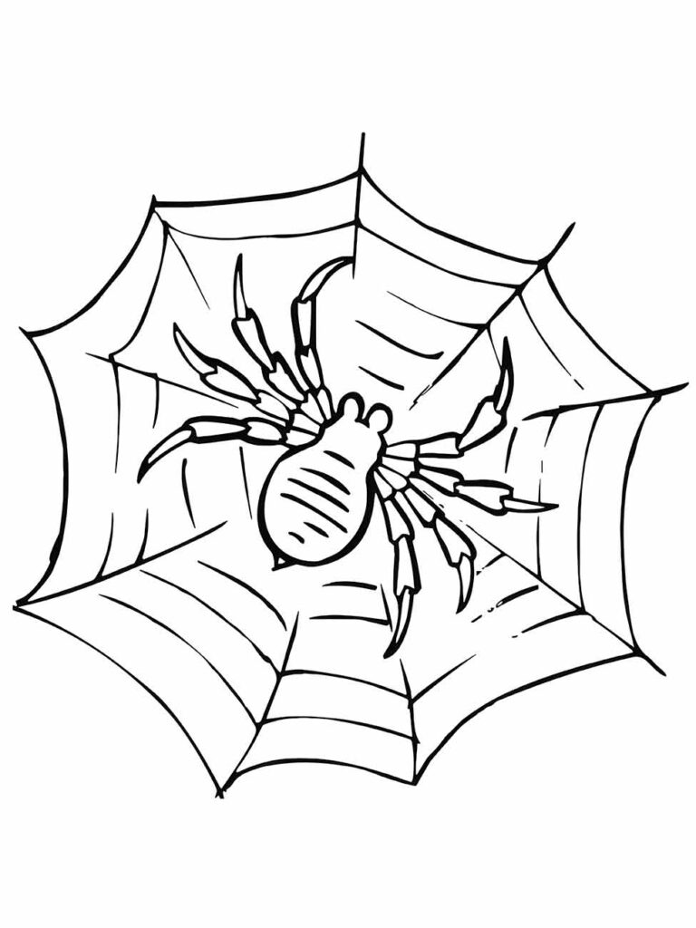 Desenho para colorir de aranha realista agachada no centro de uma teia robusta.