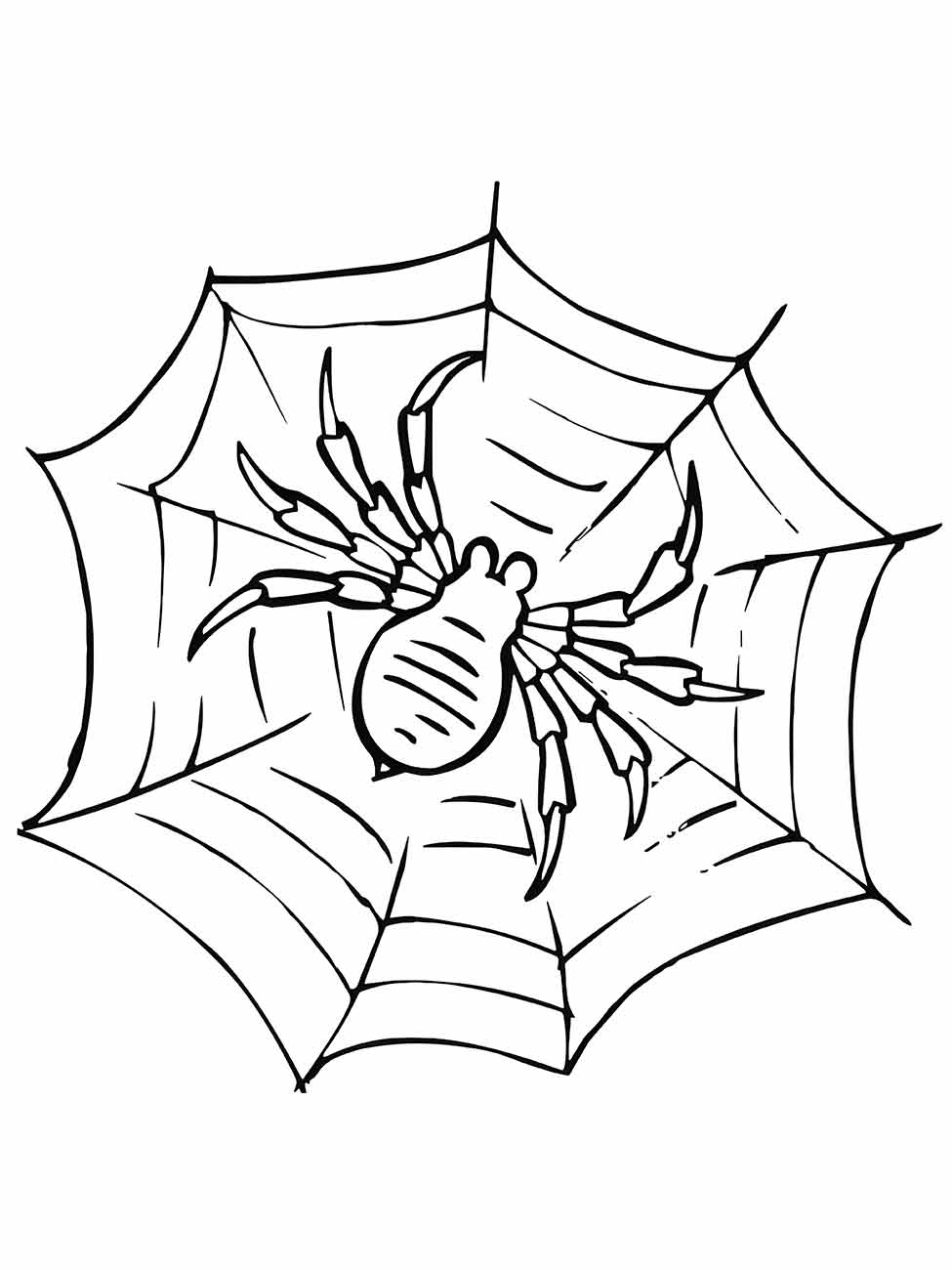 Desenho para colorir de aranha realista agachada no centro de uma teia robusta.