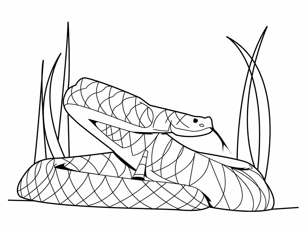 Desenho de cobra para pintar e colorir descansando entre a vegetação.