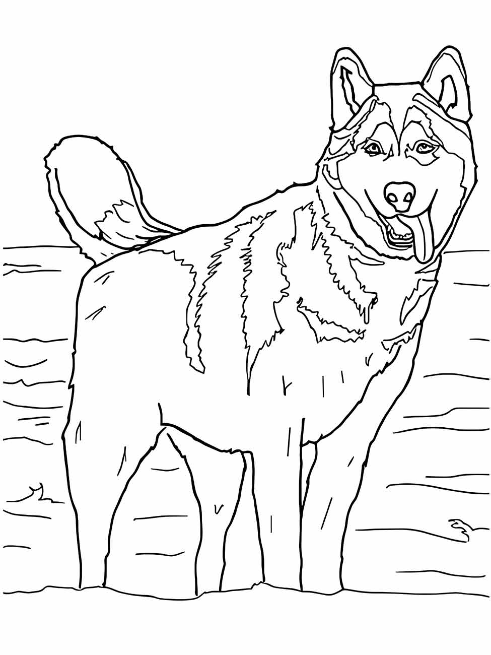 Desenho de lobo para colorir